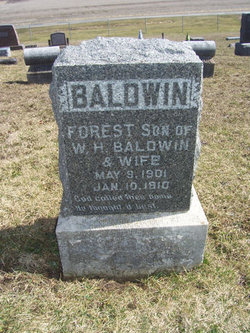Forest Baldwin 
