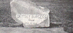 COL Dempsey Burgess 