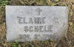 Elaine C Schele 