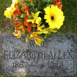 Elizabeth F <I>Brown</I> Allen 