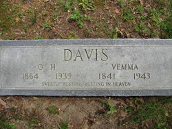 Diadema <I>McGuire</I> Davis 