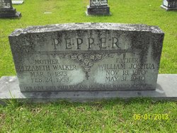 William Joshua Pepper 