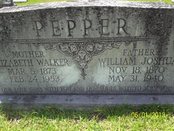Missouri Elizabeth “Lizzie” <I>Walker</I> Pepper 