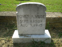 Homer Anderson Muse 