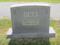 David Johnston Cox 
