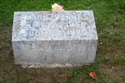 Carrie L. <I>Barnes</I> Smalley 