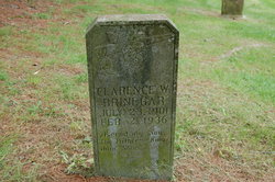 Clarence Winter Brinegar 