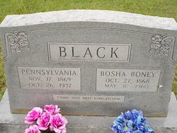 Bosha Boney Black 