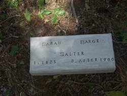 Sarah M. <I>Barge</I> Salter 