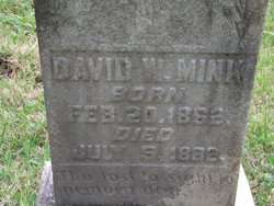 David W Mink 