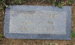 Jesse Polk Amos 