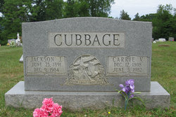 Andrew Jackson Cubbage Jr.