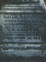 Willis Calvert 