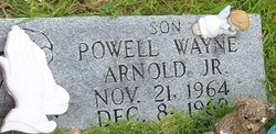 Powell Wayne Arnold Jr.