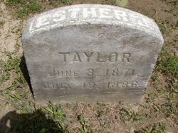 Esther Jane Taylor 