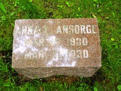 Ann L Ansorge 