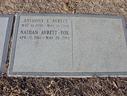 Anthony E Avrett 