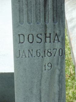 Theodosia “Dosha” <I>Strother</I> Perkins 