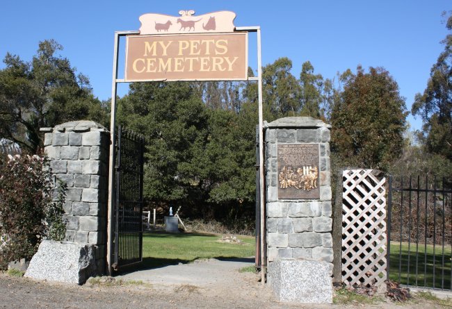My Pets Cemetery