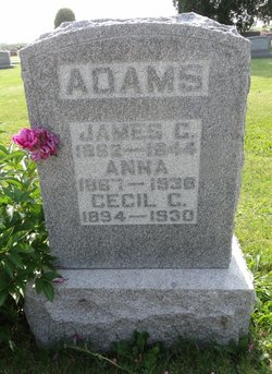 Frances Anna <I>Brill</I> Adams 