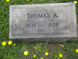 Thomas Anderson Campbell 