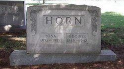 Rosa Priscilla <I>Blount</I> Horn 
