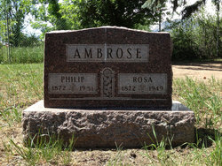 Rose <I>Liperot</I> Ambrose 