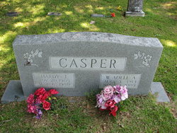 Hardy J Casper 