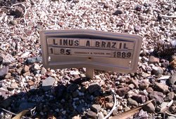 Linus Brazil 