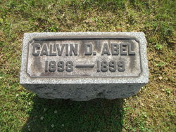 Calvin D Abel 