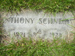 Anthony Schneider 