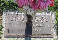 Patricia Ann Brickey 