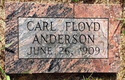 Carl Floyd Anderson 