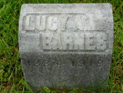 Lucy A Barnes 