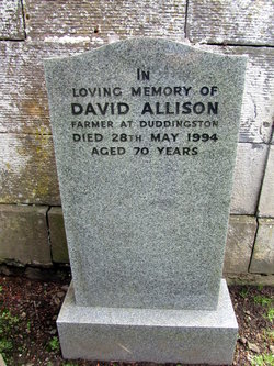 David Allison 