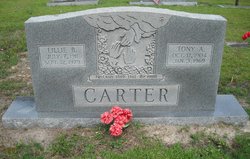 Tony Albert Carter Sr.
