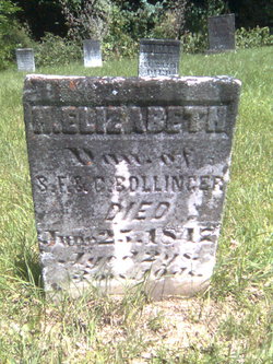 H. Elizabeth Bollinger 