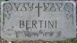 Bertini 