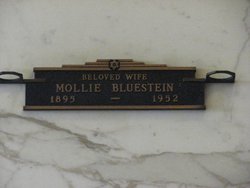Mollie Bluestein 