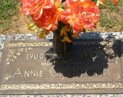 Agnes Annie Belle <I>Chaney</I> Mitchell 