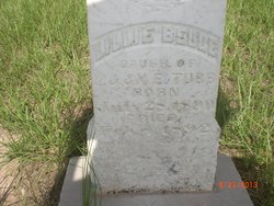 Lillie Belle Tubb 