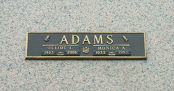 Elliot L Adams 