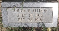 Johnie B Ellison 