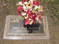Lucy Soul Valentine Barnett 