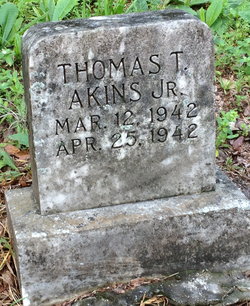 Thomas T. Akins Jr.