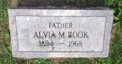 Alvia Marvin Book 