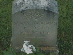 Samantha <I>Logan</I> Adams 