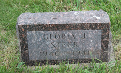 Gloria J Steck 