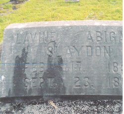 Lavine Abigail Slaydon 
