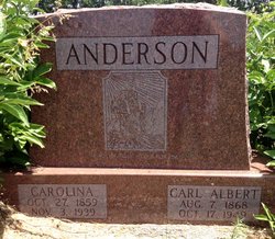 Carl Albert Anderson 